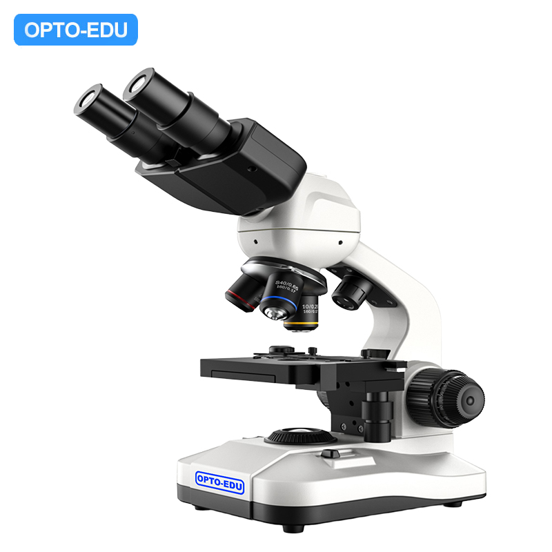 Student Microscope, Dual LED Light Source, Digital Screen, Sliding Binocular
